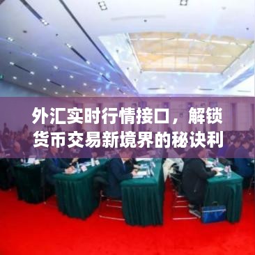 外匯實時行情接口，解鎖貨幣交易新境界的秘訣利器