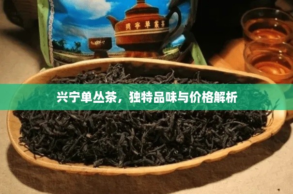 興寧單叢茶，獨(dú)特品味與價(jià)格解析