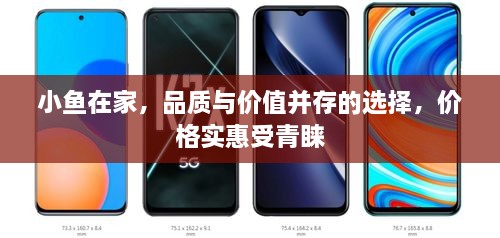 小魚在家，品質與價值并存的選擇，價格實惠受青睞