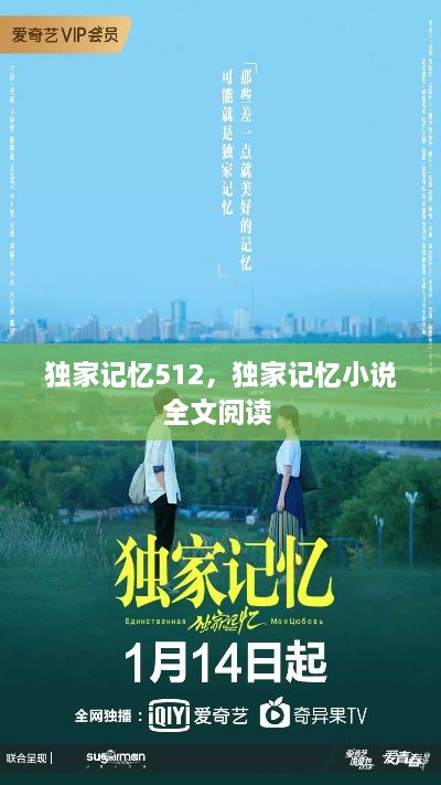 獨家記憶512，獨家記憶小說全文閱讀 