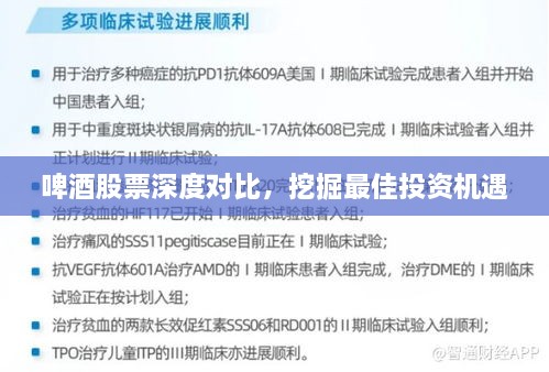 啤酒股票深度對比，挖掘最佳投資機(jī)遇