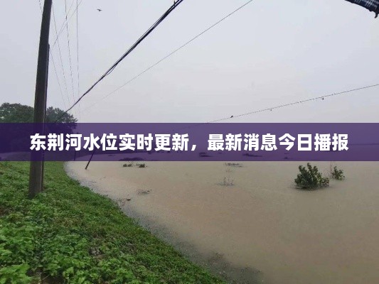 東荊河水位實時更新，最新消息今日播報
