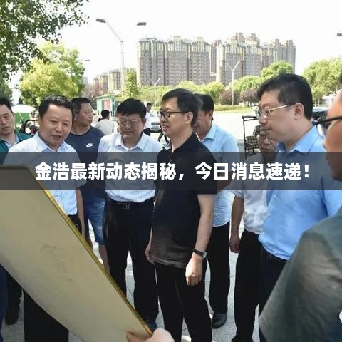 金浩最新動態(tài)揭秘，今日消息速遞！