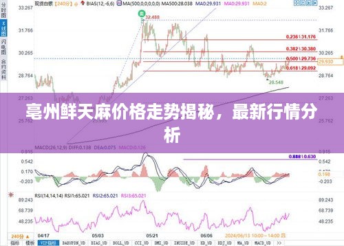亳州鮮天麻價格走勢揭秘，最新行情分析