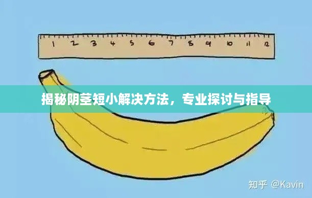 揭秘陰莖短小解決方法，專業(yè)探討與指導