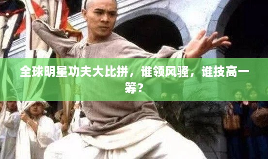 全球明星功夫大比拼，誰領風騷，誰技高一籌？