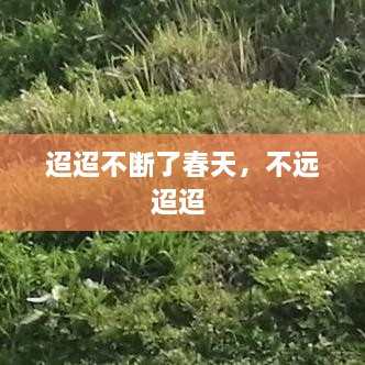 迢迢不斷了春天，不遠(yuǎn)迢迢 