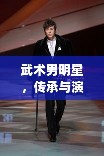 武術(shù)男明星，傳承與演繹的魅力展現(xiàn)