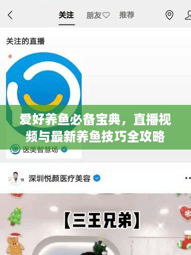 愛好養(yǎng)魚必備寶典，直播視頻與最新養(yǎng)魚技巧全攻略