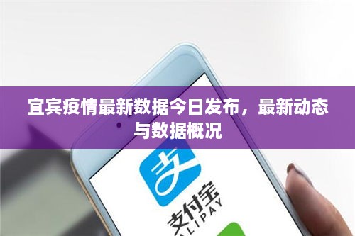 宜賓疫情最新數據今日發(fā)布，最新動態(tài)與數據概況