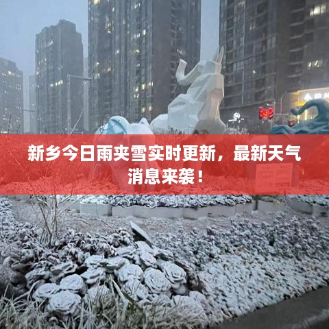 新鄉(xiāng)今日雨夾雪實時更新，最新天氣消息來襲！