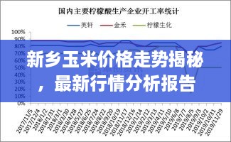 新鄉(xiāng)玉米價(jià)格走勢(shì)揭秘，最新行情分析報(bào)告