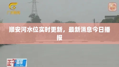 順安河水位實時更新，最新消息今日播報