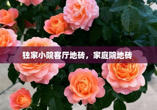 解決方案 第62頁