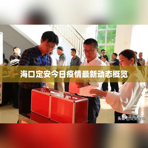 ?？诙ò步袢找咔樽钚聞?dòng)態(tài)概覽