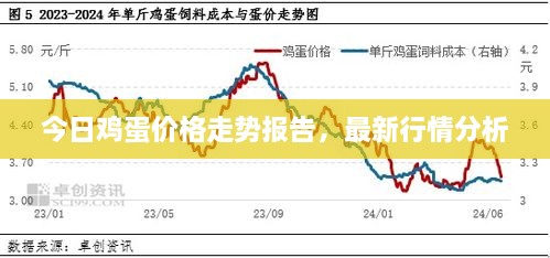 今日雞蛋價格走勢報告，最新行情分析