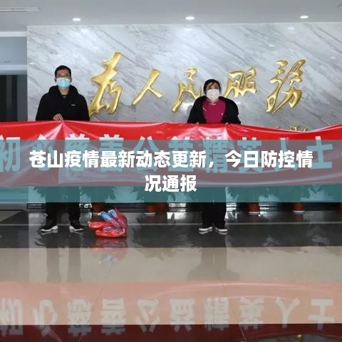 蒼山疫情最新動態(tài)更新，今日防控情況通報