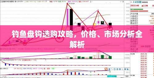 釣魚盤鉤選購攻略，價格、市場分析全解析