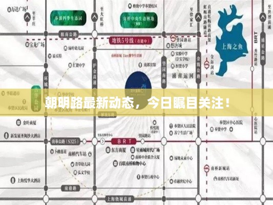 朝明路最新動(dòng)態(tài)，今日矚目關(guān)注！