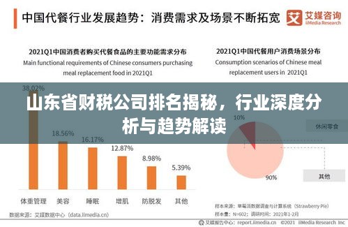 山東省財(cái)稅公司排名揭秘，行業(yè)深度分析與趨勢解讀