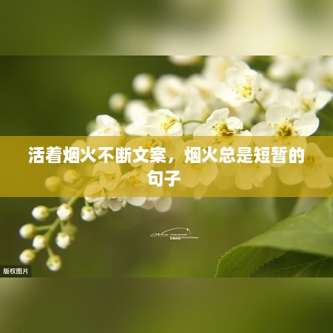 活著煙火不斷文案，煙火總是短暫的句子 