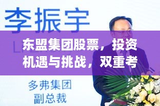 東盟集團股票，投資機遇與挑戰(zhàn)，雙重考量不容錯過