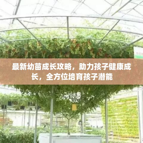 最新幼苗成長攻略，助力孩子健康成長，全方位培育孩子潛能