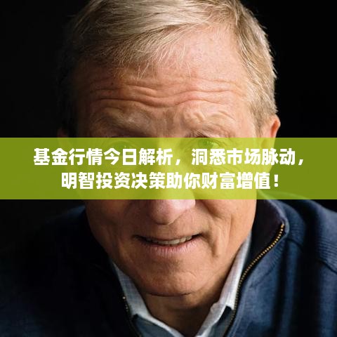 基金行情今日解析，洞悉市場脈動，明智投資決策助你財富增值！
