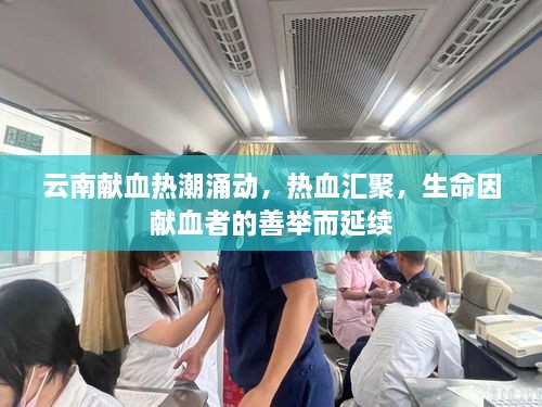 云南獻血熱潮涌動，熱血匯聚，生命因獻血者的善舉而延續(xù)