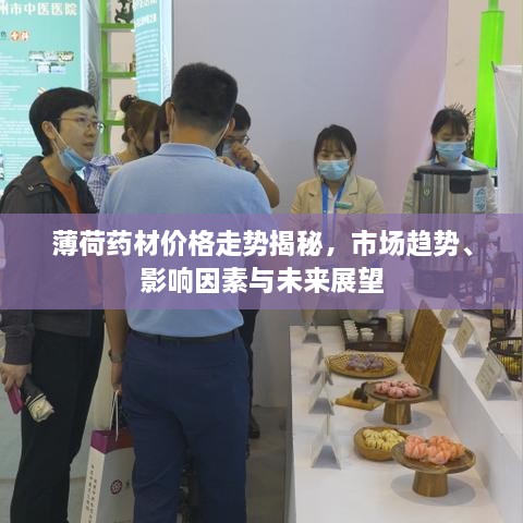 薄荷藥材價格走勢揭秘，市場趨勢、影響因素與未來展望