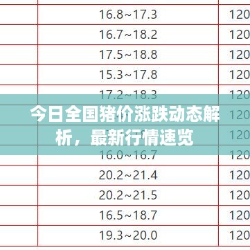 今日全國豬價(jià)漲跌動(dòng)態(tài)解析，最新行情速覽