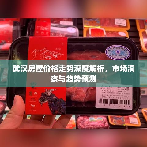 武漢房屋價(jià)格走勢(shì)深度解析，市場(chǎng)洞察與趨勢(shì)預(yù)測(cè)
