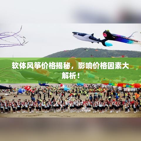 軟體風(fēng)箏價格揭秘，影響價格因素大解析！