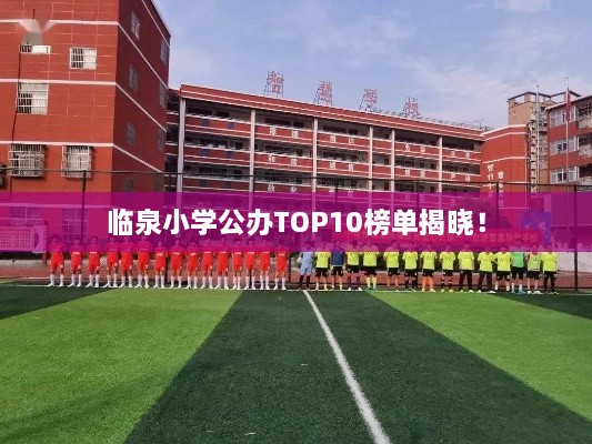 臨泉小學(xué)公辦TOP10榜單揭曉！