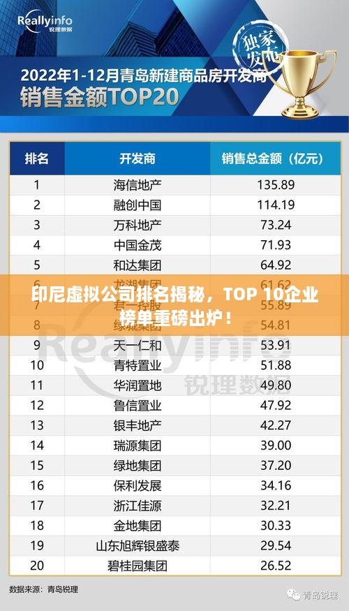 印尼虛擬公司排名揭秘，TOP 10企業(yè)榜單重磅出爐！
