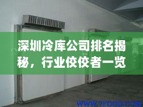 深圳冷庫(kù)公司排名揭秘，行業(yè)佼佼者一覽無(wú)余
