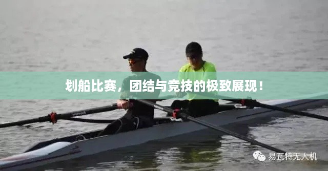 劃船比賽，團結與競技的極致展現！