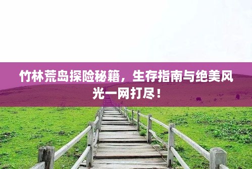 竹林荒島探險(xiǎn)秘籍，生存指南與絕美風(fēng)光一網(wǎng)打盡！