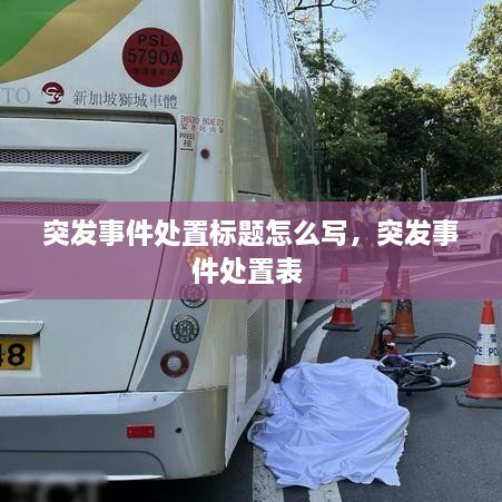 突發(fā)事件處置標(biāo)題怎么寫，突發(fā)事件處置表 