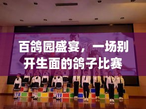 百鴿園盛宴，一場別開生面的鴿子比賽盛宴！