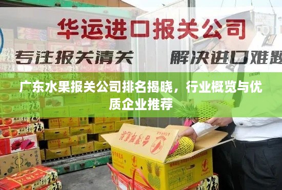 廣東水果報(bào)關(guān)公司排名揭曉，行業(yè)概覽與優(yōu)質(zhì)企業(yè)推薦