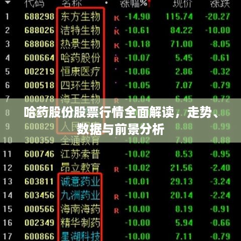 哈藥股份股票行情全面解讀，走勢(shì)、數(shù)據(jù)與前景分析