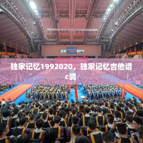 獨(dú)家記憶1992020，獨(dú)家記憶吉他譜c調(diào) 