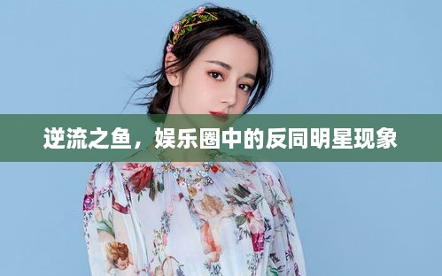 逆流之魚，娛樂圈中的反同明星現(xiàn)象