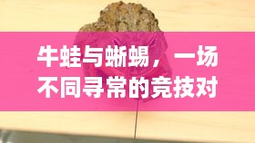 牛蛙與蜥蜴，一場不同尋常的競技對決