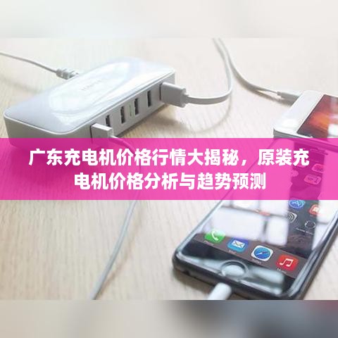 廣東充電機價格行情大揭秘，原裝充電機價格分析與趨勢預測