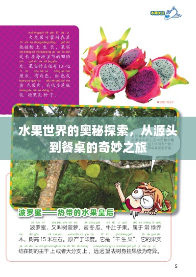 水果世界的奧秘探索，從源頭到餐桌的奇妙之旅