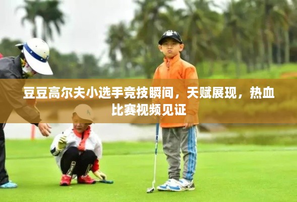 豆豆高爾夫小選手競技瞬間，天賦展現(xiàn)，熱血比賽視頻見證