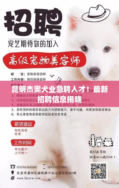 昆明杰奧犬業(yè)急聘人才！最新招聘信息揭曉