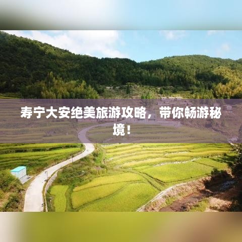 壽寧大安絕美旅游攻略，帶你暢游秘境！